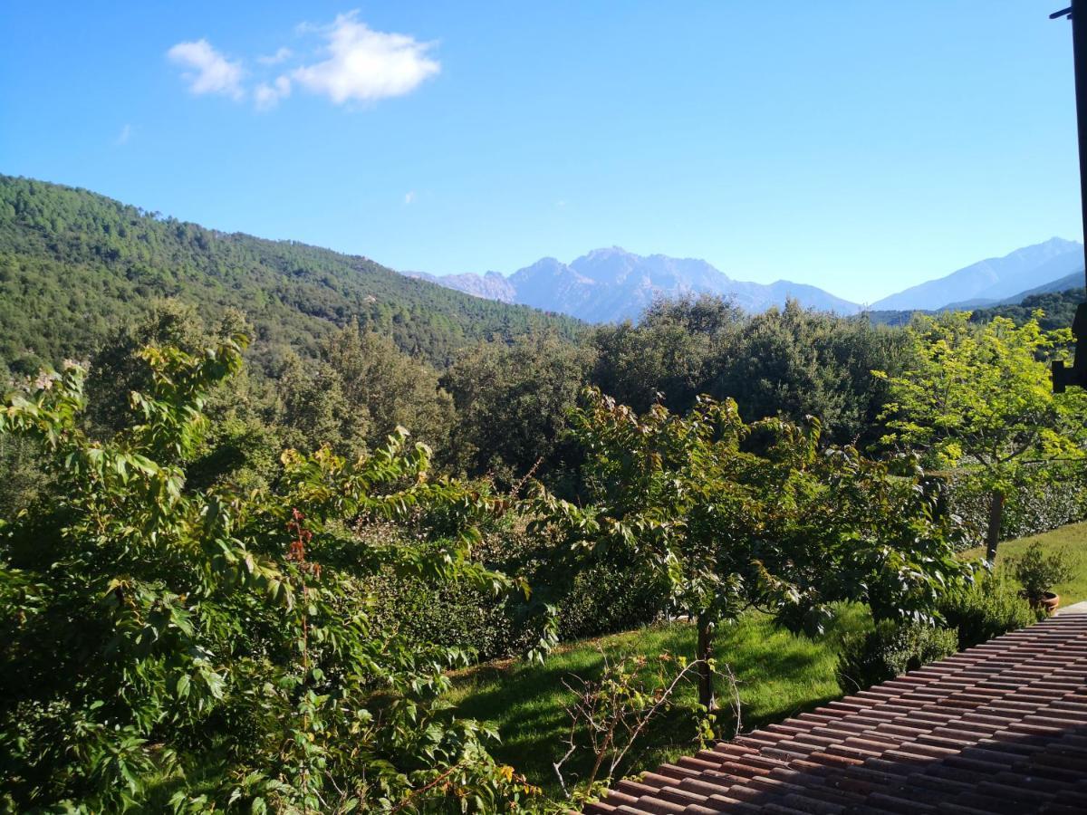 Bed and Breakfast L'Ogliastru Ucciani Zewnętrze zdjęcie